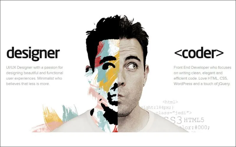 Difference Between Web Designer And Developer