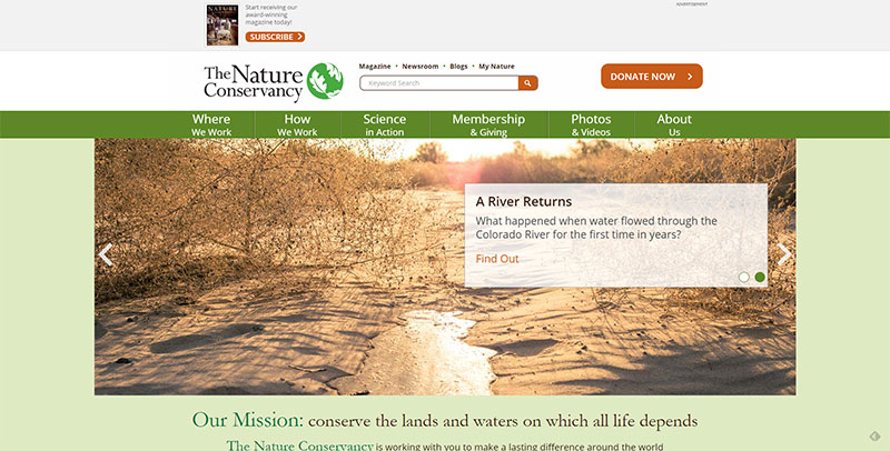 Create the design around your customer