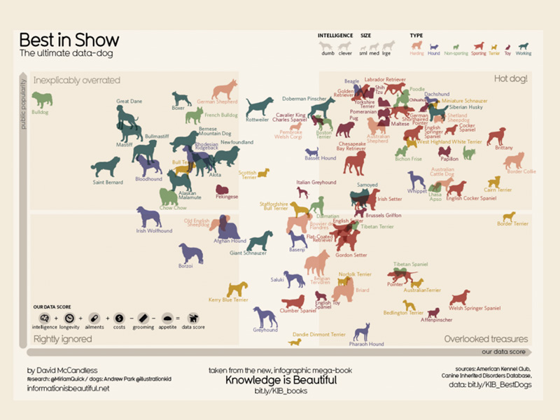 dog show data visualization dog show data visualization