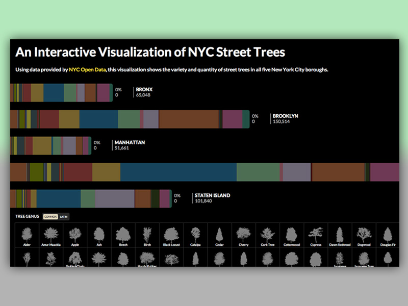 interactive visualization of NYC trees interactive visualization of NYC trees