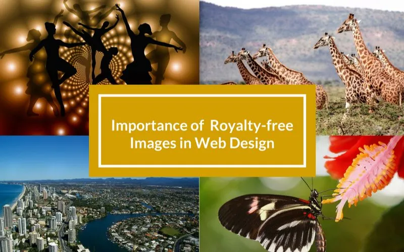 royalty free images featured image