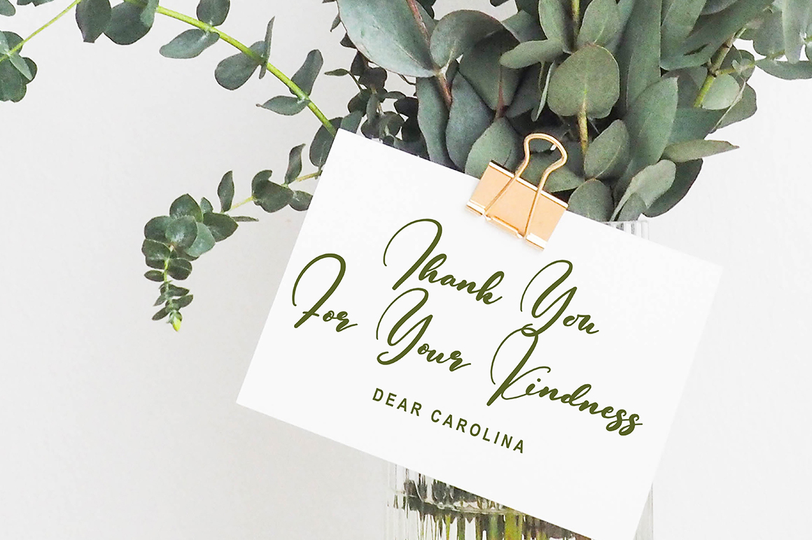 The Classy Fonts Bundle