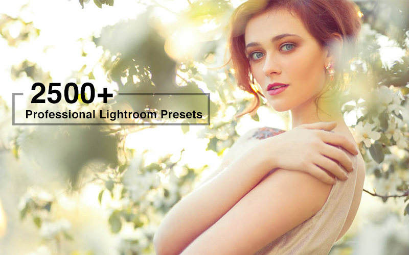 Lightroom Presets Bundle
