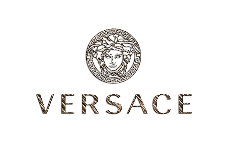 Versace logo now, Medusa head logo, Versace brand identity, Versace logo inspiration, Versace logo story, significance of Versace logo