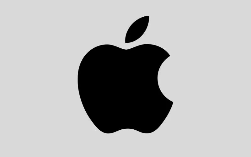 monochrome black color logo - 1998