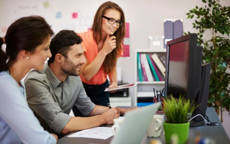 no code web development agency