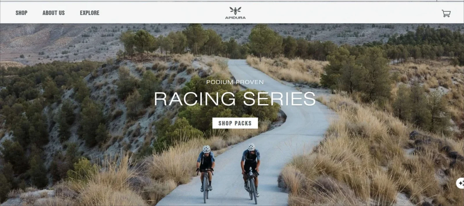 apidura with minimal navigation menu