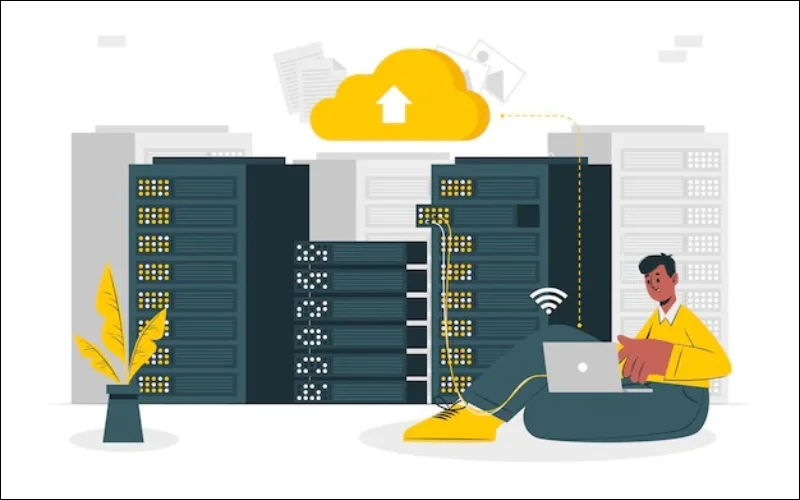 Dedicated web hosting